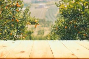 Empty wood table with free space over orange trees, orange field background. For product display montage photo