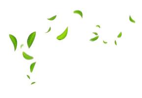 Green Floating Leaves Flying Leaves Green Leaf Dancing, Air Purifier Atmosphere Simple Main Picture photo