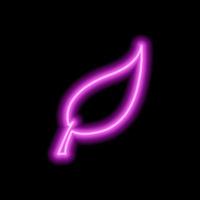 Pink neon leaf outline from a tree on a black background. Vector illustration