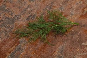 Fresh green dill herb branch photo