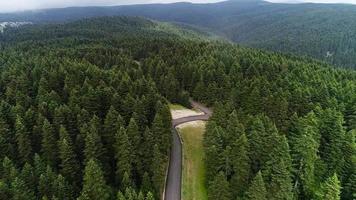 Asphalt roads in the forest. Asphalt road stretching in the middle of pine trees. Road and forest landscape.