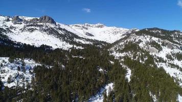 Snow-covered road among pine trees. Aerial view of snowy road in forest. video