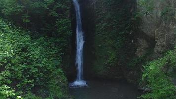 fließender Wasserfall und grüne Bäume im Wald. Anmutiger Fluss eines schlanken Wasserfalls im Wald. video