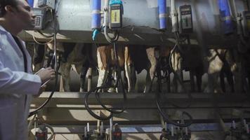 fermier dans la salle de traite des vaches. dans la salle de traite moderne, l'agriculteur contrôle l'équipement de traite des vaches et appuie sur les boutons. video