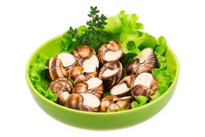 Escargot snails on a plate photo