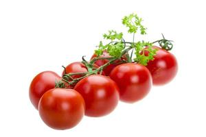 Tomato branch with parsley photo