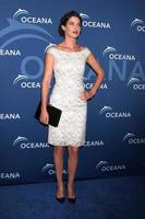 LOS ANGELES, OCT 30 - Cobie Smulders at the Oceanas Partners Awards Gala 2013 at Beverly Wilshire Hotel on October 30, 2013 in Beverly Hills, CA photo