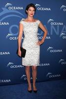 LOS ANGELES, OCT 30 - Cobie Smulders at the Oceanas Partners Awards Gala 2013 at Beverly Wilshire Hotel on October 30, 2013 in Beverly Hills, CA photo