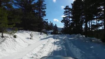 schneebedeckte und vereiste zolu-straße im wald. Landschaft der gefährlichen und verschneiten Straße im Wald. video