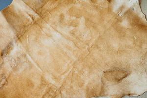 natural leather animal fur texture photo