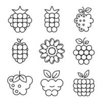 Raspberry icons set, outline style vector