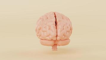nahtlose Schleife des Gehirns, das sich um 360 Grad auf gelbem Hintergrund dreht. Wissenschafts- und Anatomiekonzept. Full-HD-Filmmaterial Video-Bewegungsgrafik video