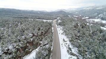 strada asfaltata, terreno innevato. lunga strada asfaltata nel bosco innevato. video