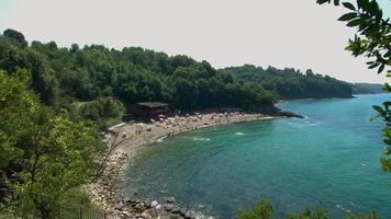 Lake among pine forest. Green area and lake view among pine forests. video