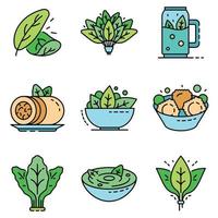 Spinach icon set line color vector