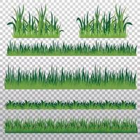 hierba con fondo transparente vector