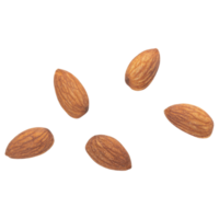 Almonds cutout, Png file