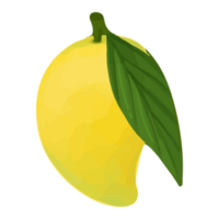 mangue aquarelle, clipart de fruits peints à la main png