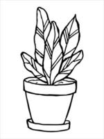 Cute hand drawn houseplant in a pot clipart. Plant illustration. Cozy home doodle vector