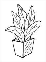 linda planta de interior dibujada a mano en un clipart de maceta. ilustración de la planta acogedor hogar garabato vector