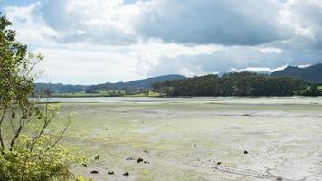 Protected area for bird watching close to Villaviciosa, Asturias. photo