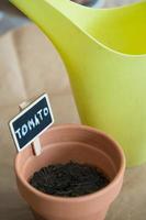 Small clay pot with tomato seeds to germinate. Watering can behind. photo