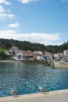 Vertical shot of Tazones from its harbor. Two seagulls at the front part. Asturias photo