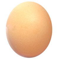 oeuf transparent png