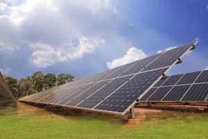 Solar energy plants photo