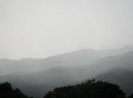 Beautiful dark grey mountain landscape with fog and forest. photo