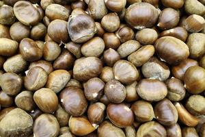 Stack of chestnuts on a market stall