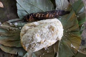 arroz blanco y bagre a la parrilla en una hoja verde, una comida sencilla en el bosque foto