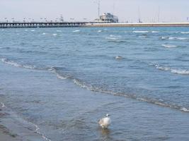 the beach of Sopot in Poland photo