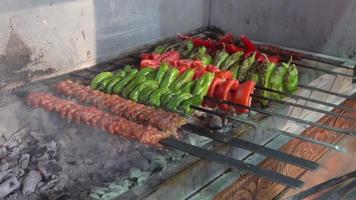 Adana-Kebab und Hühnchen-Schaschlik auf dem Grill. Adana-Kebab und Hähnchenflügel werden auf dem Grill zubereitet. video