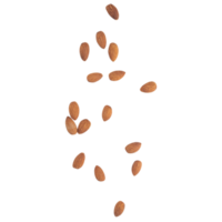 Falling almonds cutout, Png file