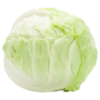 Cabbage cutout, Png file