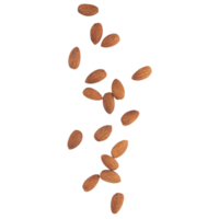 Falling almonds cutout, Png file