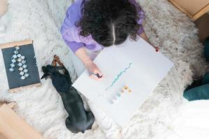 The adult woman painting by numbers indoors, her pet miniature pincher near. People with pets. photo