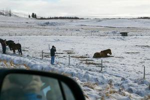 Photographer taking picture of a horse photo