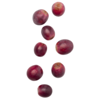 recorte de uvas rojas que caen, archivo png