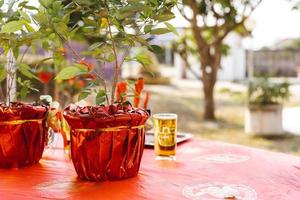 Pair of pomegranate trees in pot wrapped in red paper. On table set for ceremony to pay respect to angels of heaven and earth according to Chinese tradition. photo