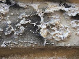 dampness moisture on wall photo