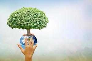 National Annual Tree Care Day.World environment day.Human hand holding  tree and world on blurred nature background photo