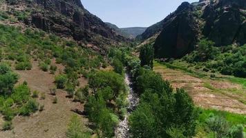 terreno geológico e córrego. vista aérea de fluxo de fluxo e árvores crescendo por fluxo em terreno geológico. video