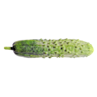 concombre légume transparent png
