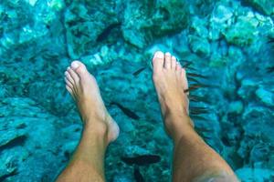 los peces muerden los pies en el agua cenote tajma ha mexico. foto