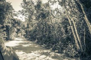 Driving on gravel path road in Tulum jungle nature Mexico. photo