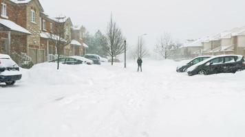 man worstelt om door stormachtige sneeuwstorm te lopen bij harde wind video