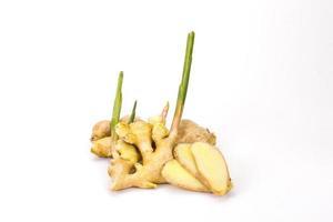 el jengibre sobre fondo blanco el jengibre es una planta anual. con rizomas subterráneos, la capa exterior es de color marrón amarillento. la carne en un color arcilla tiene una fragancia única. foto