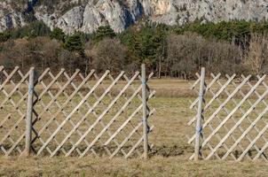 fence in nature photo